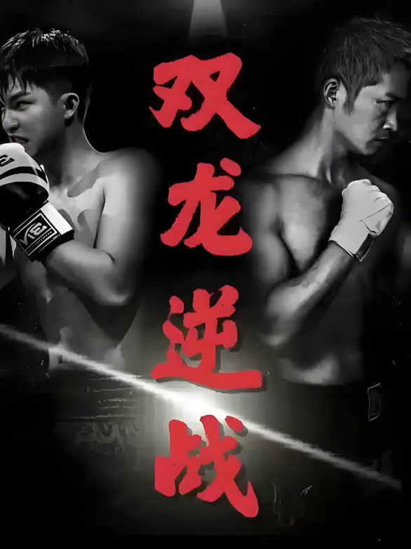 双龙逆战(拳王之父子双龙)